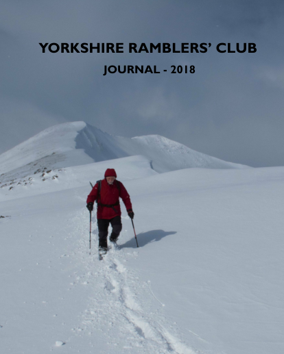 YRCJ 2018; 14(1) cover